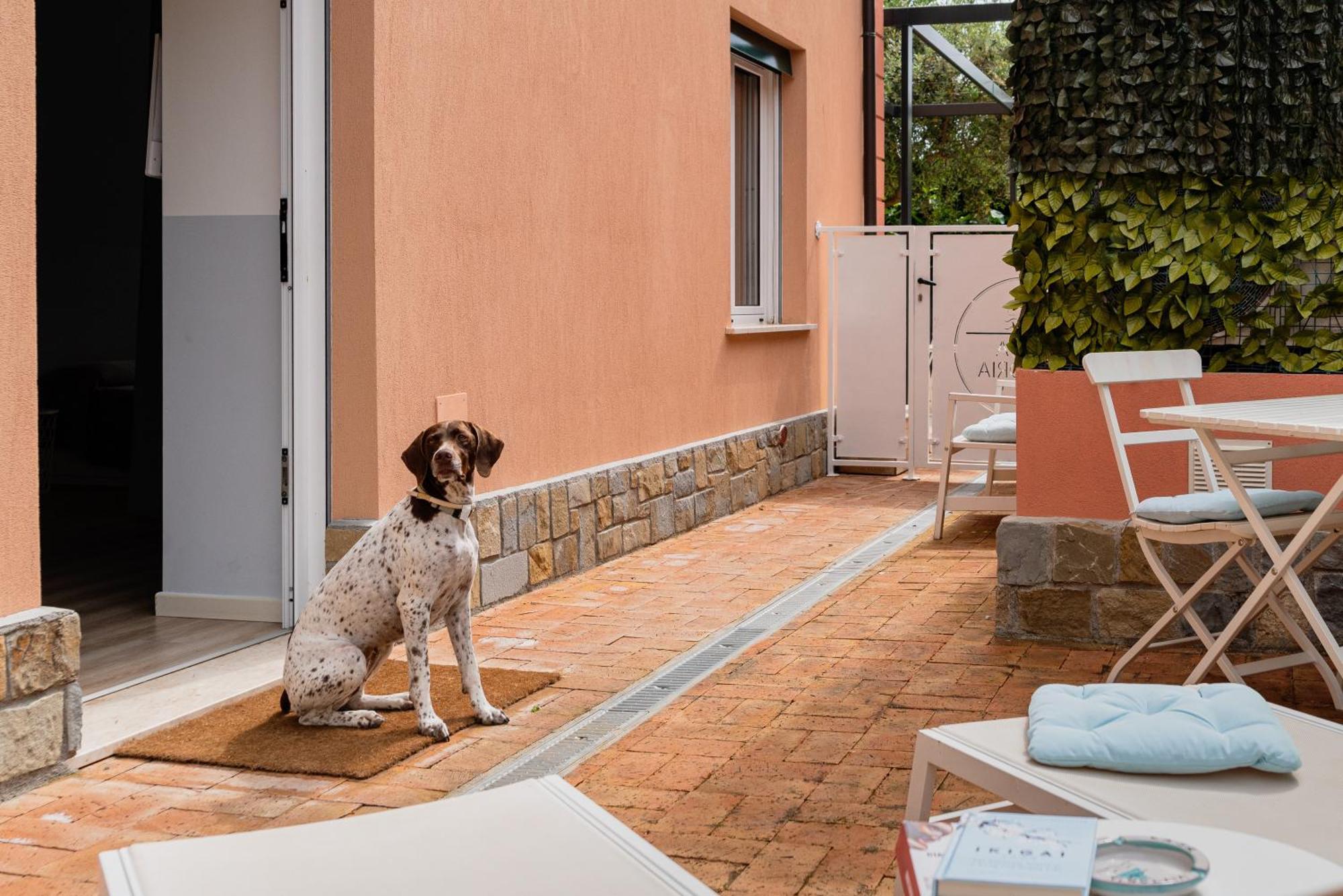 Casa Vittoria Villa Agropoli Ngoại thất bức ảnh